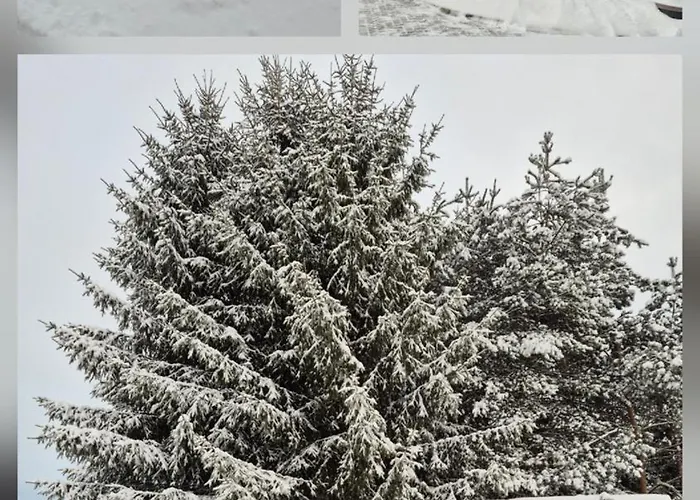 Üdülőpark Janis 3*